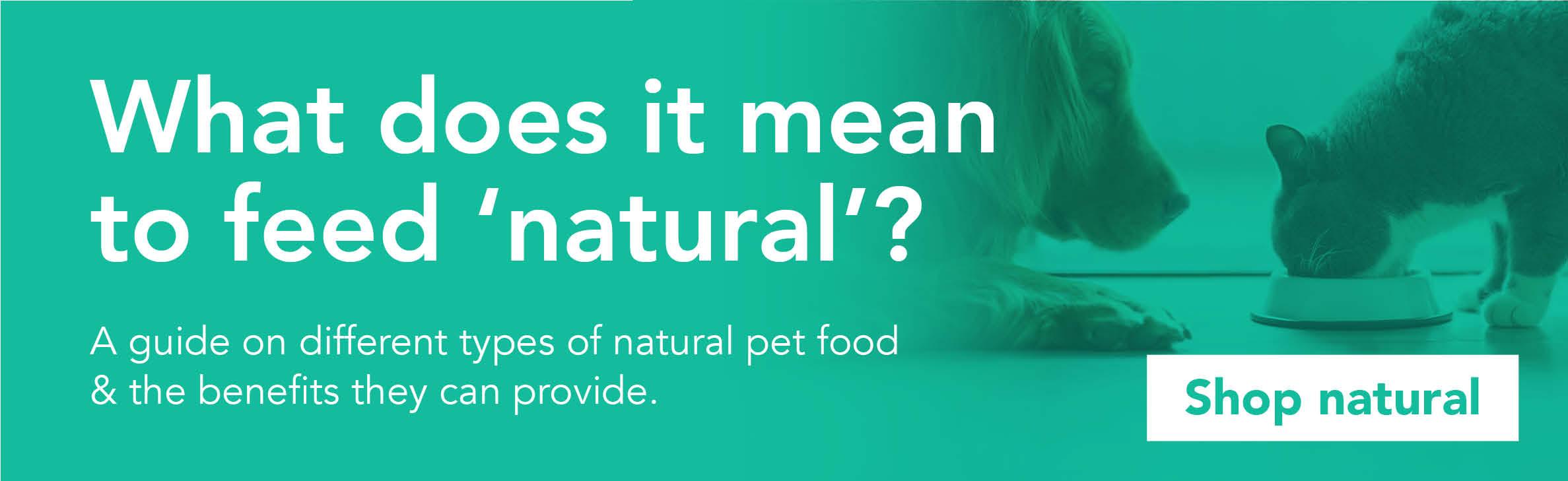 NaturalPetFoodBlog